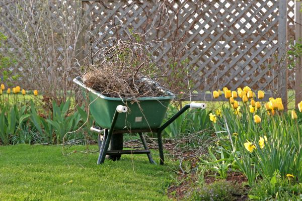 Flower Bed Cleanup Service in Costa Mesa