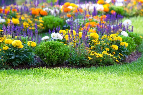Flower Bed Maintenance in Costa Mesa