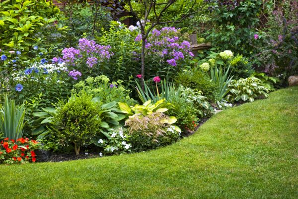 Flower Bed Service in Costa Mesa