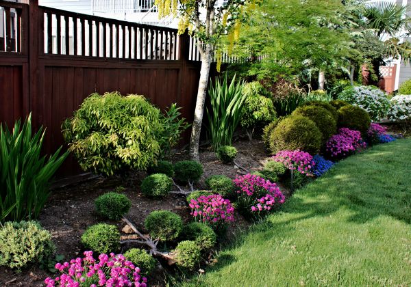 Garden Care Service in Costa Mesa