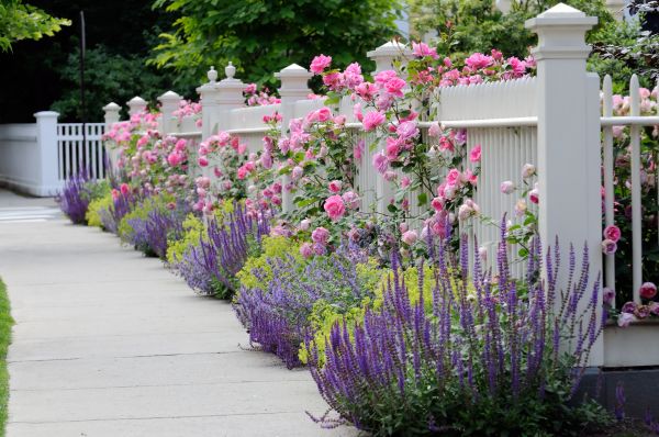Garden Handyman Service in Costa Mesa