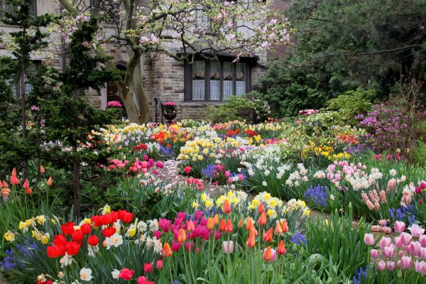 Garden Maintenance Service in Costa Mesa