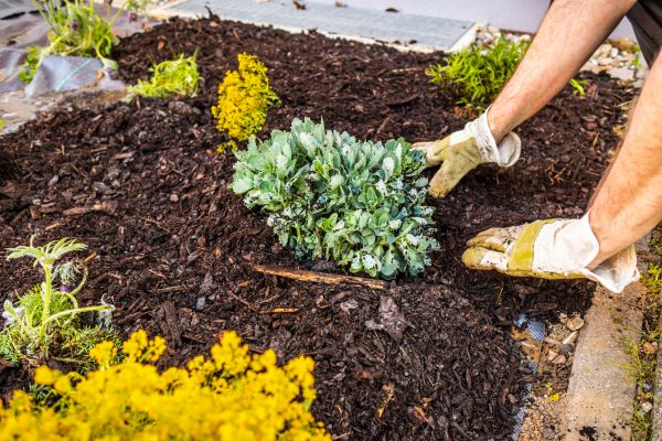 Weeding And Mulching in Costa Mesa