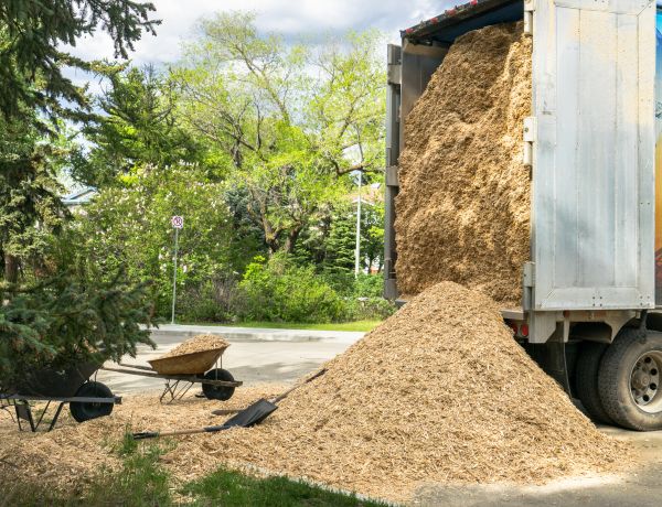 Wood Chips Delivery in Costa Mesa
