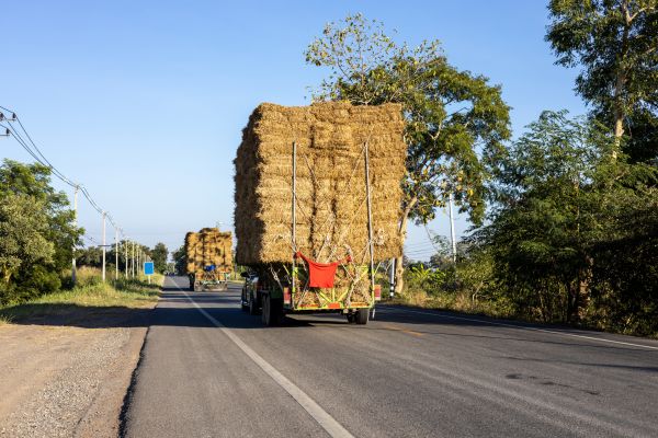 Pine Straw Delivery in Costa Mesa