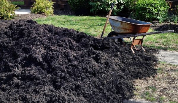 Black Mulch Delivery in Costa Mesa
