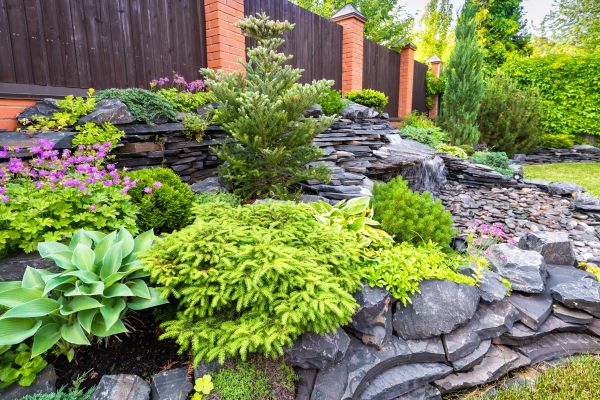Landscape Remodeling in Costa Mesa