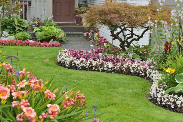 Perennial Landscaping in Costa Mesa