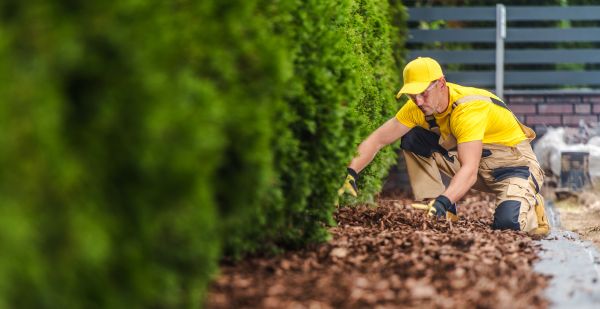 Cypress Mulch Installation in Costa Mesa