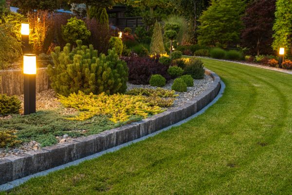 Garden Repair Service in Costa Mesa