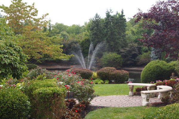 Courtyard Design Service in Costa Mesa