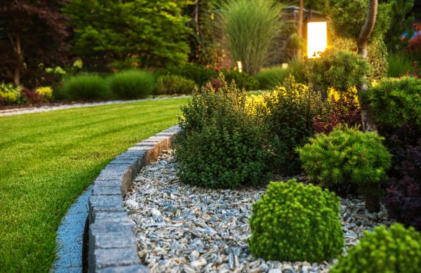 Landscaping Service in Costa Mesa