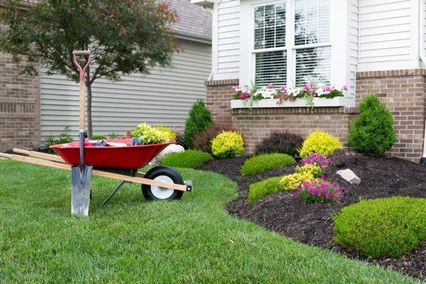 Tree And Shrub Planting in Costa Mesa