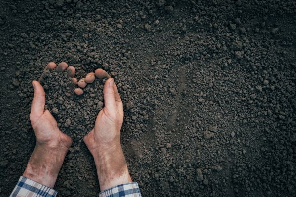 Soil Installation in Costa Mesa