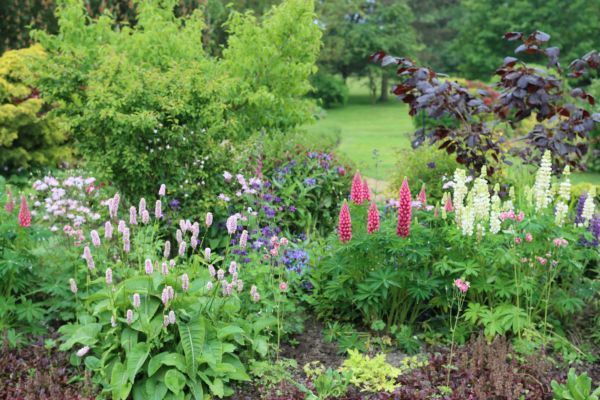 Flower Bed Planting in Costa Mesa