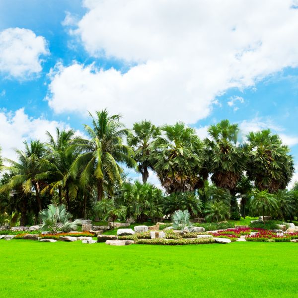 Tropical Landscaping in Costa Mesa