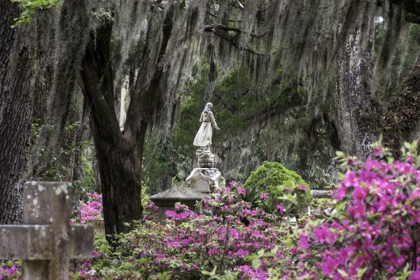 Cemetery Landscaping in Costa Mesa