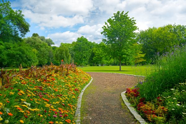 Park Landscaping in Costa Mesa