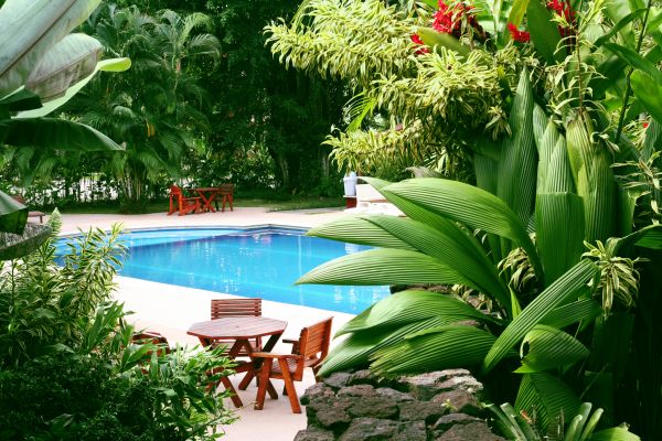 Tropical Garden Landscaping in Costa Mesa