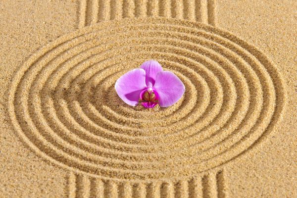 Sand Garden Landscaping in Costa Mesa