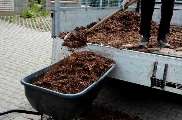 Cypress Mulch Delivery in Costa Mesa