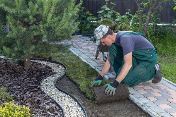 Landscaping Modification in Costa Mesa