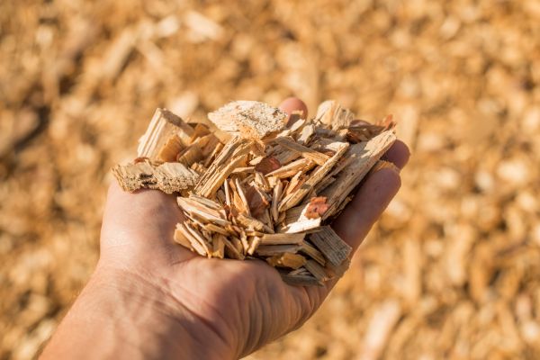 Wood Chips Spreading in Costa Mesa