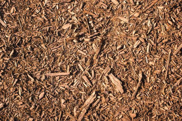 Wood Chips Removal in Costa Mesa