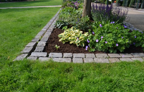 Flower Bed Mulching in Costa Mesa