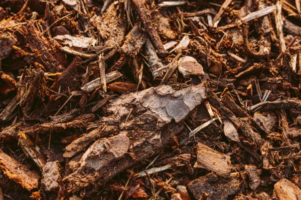 Bark Mulch Delivery in Costa Mesa