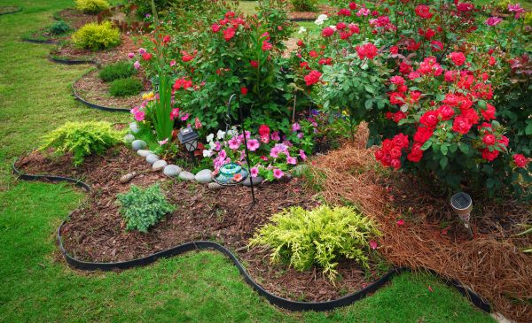 Floral Landscaping in Costa Mesa