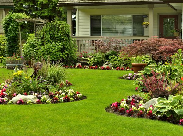 Flower Garden Planting in Costa Mesa