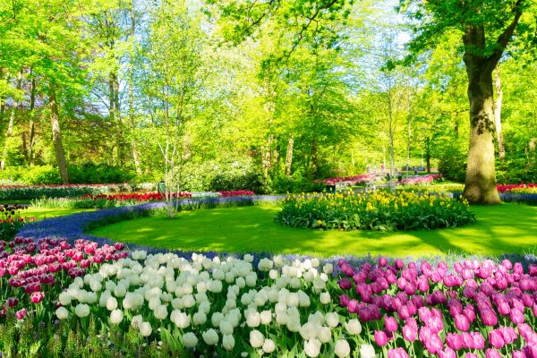 Flower Landscaping in Costa Mesa