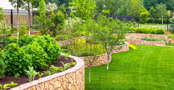 Yard Makeover Service in Costa Mesa
