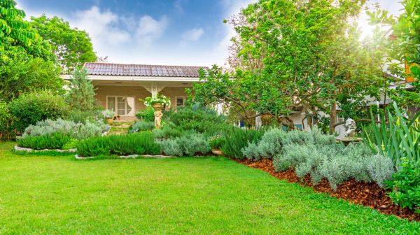Greenery Planting in Costa Mesa
