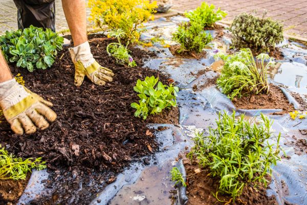 Mulch Fabric Installation in Costa Mesa