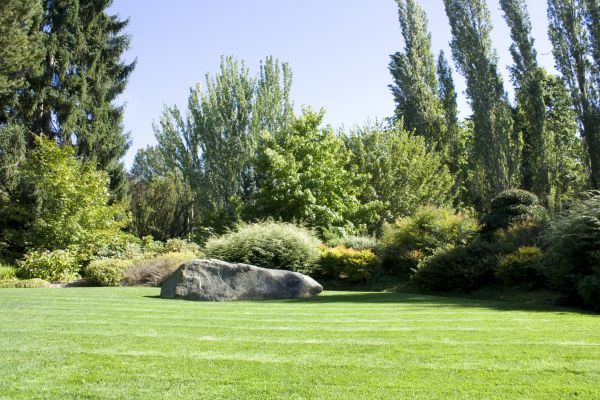 Yard Enlargement in Costa Mesa
