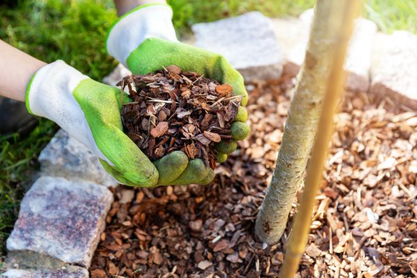 Tree Bark Delivery in Costa Mesa