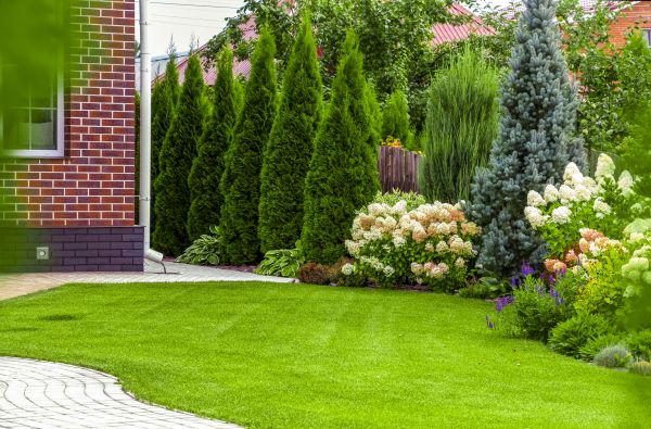 Spring Landscaping in Costa Mesa