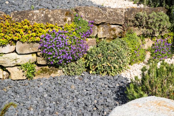 Landscaping Rocks Installation in Costa Mesa