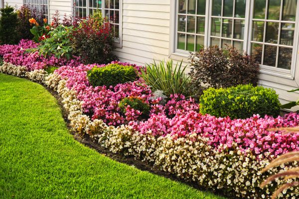 Garden Landscape Design in Costa Mesa