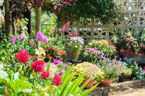 Spring Garden Maintenance in Costa Mesa