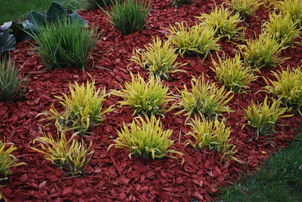 Red Mulch Installation in Costa Mesa