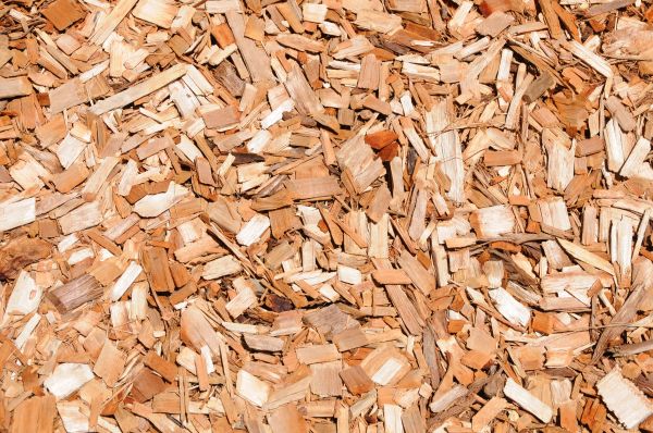 Cypress Mulch Spreading in Costa Mesa