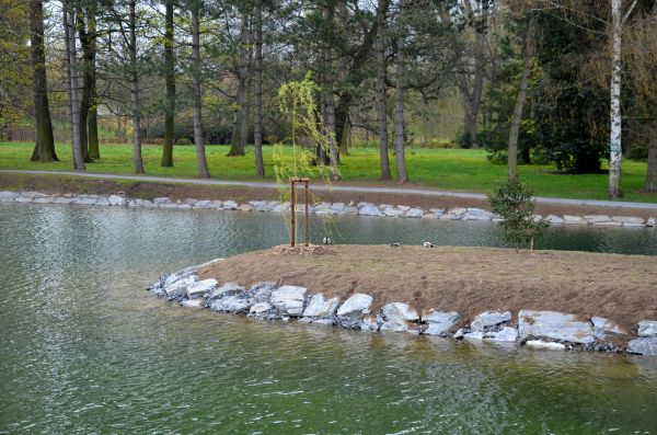 Pond Landscaping Service in Costa Mesa