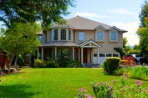 Large Yard Landscaping in Costa Mesa