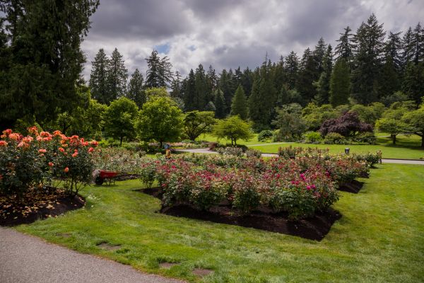Flower Garden Landscaping in Costa Mesa