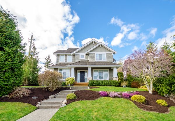 Landscaping Replacement in Costa Mesa