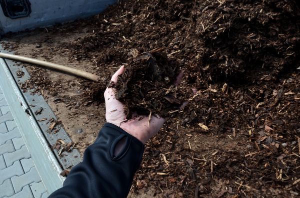 Condo Mulching in Costa Mesa